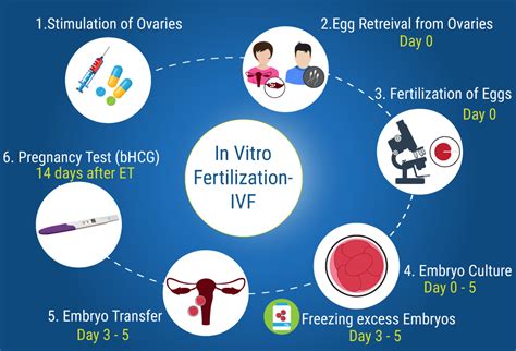 cost of in vitro fertilization procedure